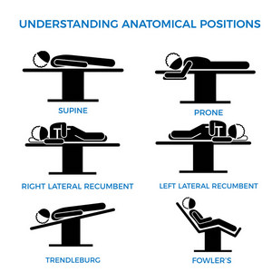 "Anatomical Positions" WRONG!! "Anatomical Positions" WRONG!!