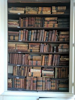 One of the library book shelves