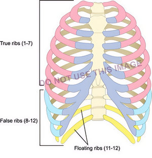 An example of wrong labeling of an image An example of wrong labeling of an image