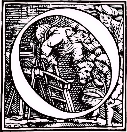 vesalius Initial slanted O lg vesalius Initial slanted O lg